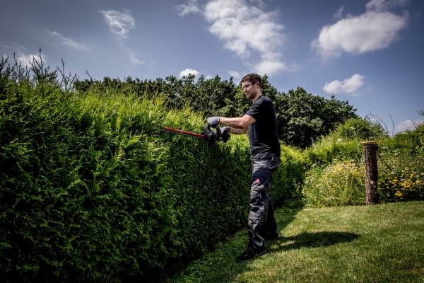 Metabo HS 18 LTX 65 - - sladdlös - 18 V - SOLO
