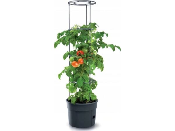Prosperplast Potte for tomater Tomatdyrker IPOM400