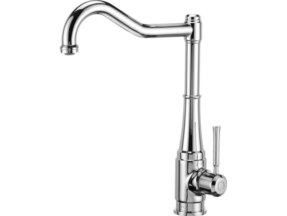 Kitchen mixer Deante Tamizo standing chrome (BQT 063M)
