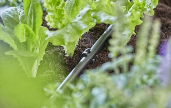Gardena Micro-Drip-järjestelmä - Tappi putki - sopii 13 mm (1/2") putkelle - 10 pk