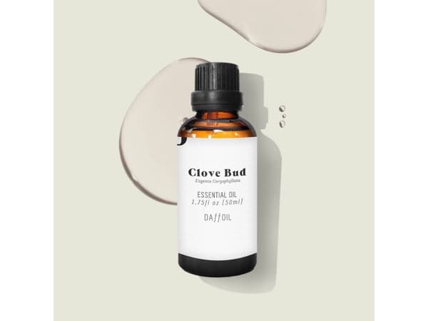 Daffoil Clove Bud, 50 ml, Clove