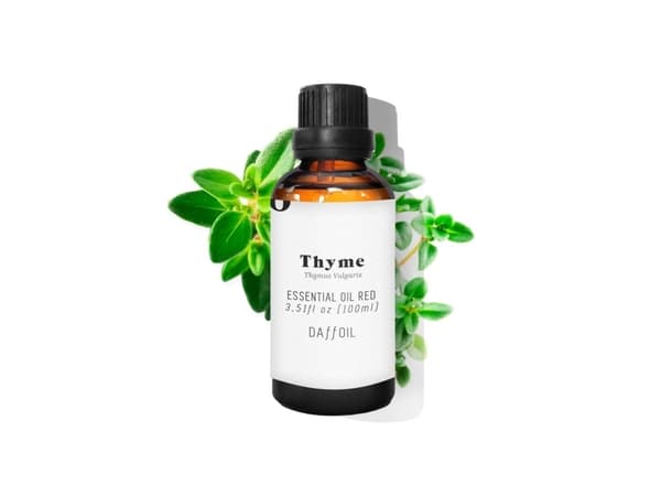 Narsissi Timjami, 100 ml, Timian