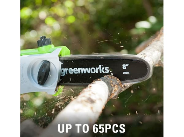 Greenworks G24PSH motorsag 24V 20 cm