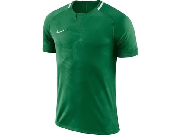 Nike Y NK Dry Chalang II JSY SS T-paita vihreä S (128-137cm) (894053 341)