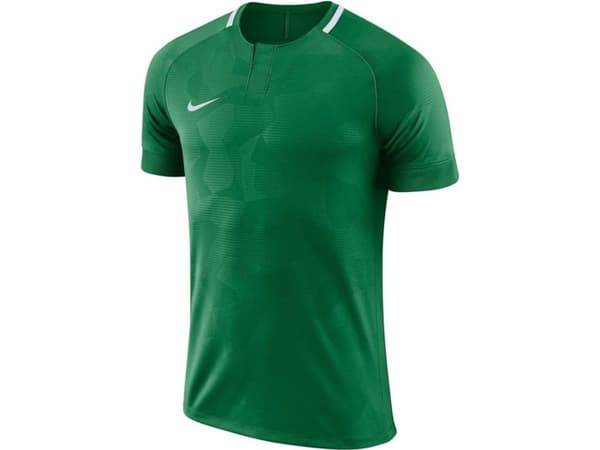 Nike Y NK Dry Chalang II JSY SS T-paita vihreä S (128-137cm) (894053 341)