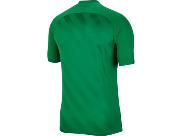 Nike Dri Fit Challenge 3 Y Jr t-paita BV6738 302
