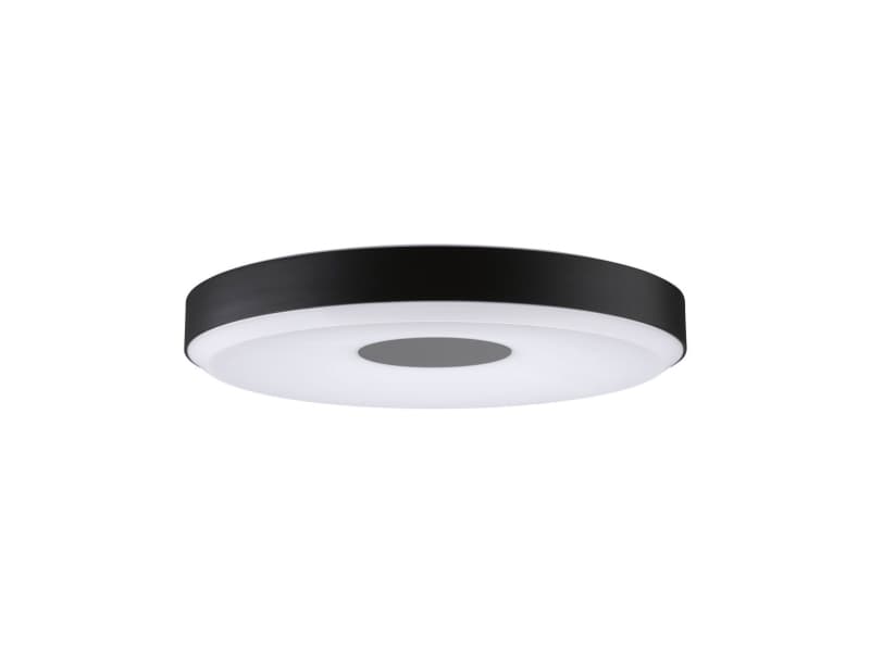 Paulmann 79778 Pane LED-loftslampe LED (RGB) 16 W Sort, Grå
