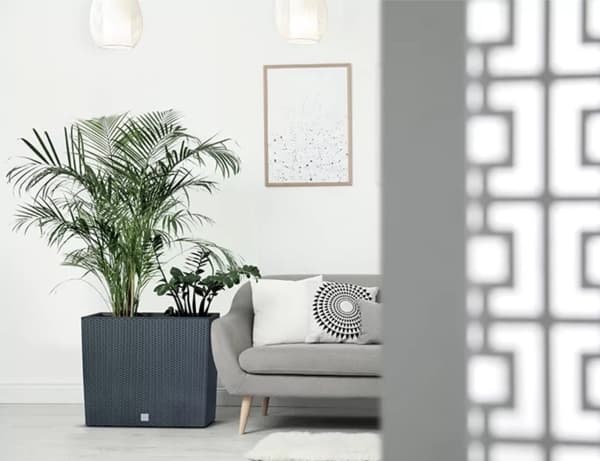 prosperplast<div class="int_ce_html"> Rato Case Tower DRC600T umbra vazonas</div>