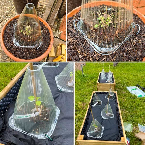 Plantevern 6-pack