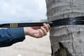 Pikkukuva 2 / 5: Ticket To The Moon TMSTRAP, Strap, Black, 300 kg, Polyester, 27 mm, 20 mm