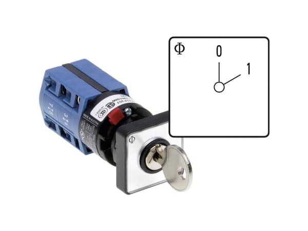 Kraus & Naimer CG4.A200.*FS2.DE21 Lastafbryder 10 A 1 x 60 ° Grå, Sort 1 stk