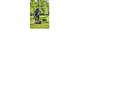 Miniatyrbilde 3 av 4: Greenworks G40CS30II 40V 30cm motorsag