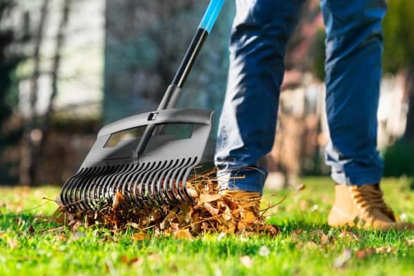 Cellfast Large rake for leaves Ideal Pro 525mm (40312