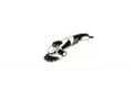 Miniatyrbilde 5 av 5: Bosch DIAMANTSKIVE 150MM PROF STONE