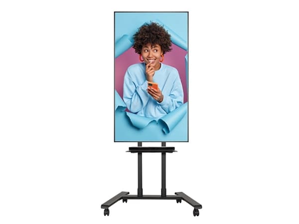 B-Tech BT8504, 70 kg, 190,5 cm (75"), 600 x 400 mm