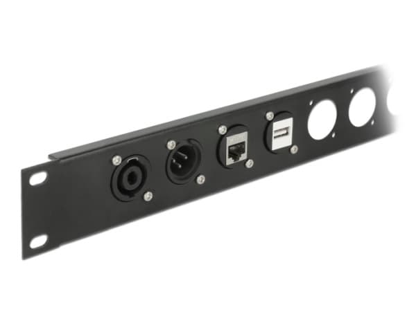 Delock D-Type Module - Modulkontaktplatta med insnäppsfästen - kan monteras på panel - USB 2.0 Type B - svart