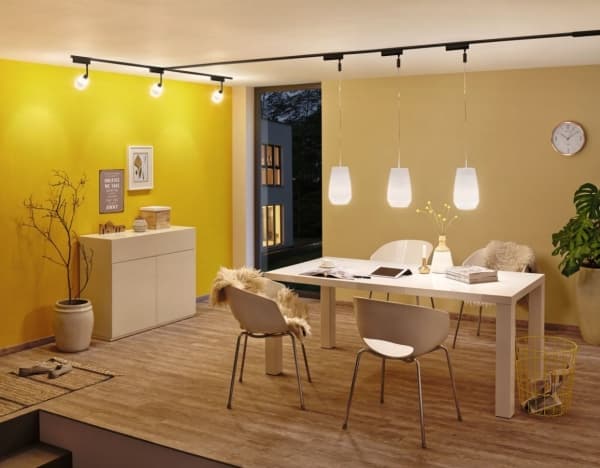 Paulmann 95524, Styrenhet för belysning, Svart, Plast, II, 20 m, 50 W