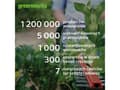 Miniatyrbilde 2 av 2: Greenworks 60 V lader 6 A dobbel spor Greenworks G60x2UC6