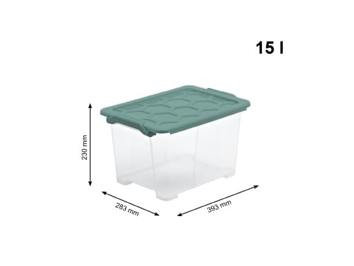 Rotho 1007905092, Förvaringslåda, Grön, Transparent, Rektangulär, Monokromatiskt, Grön, 283 mm