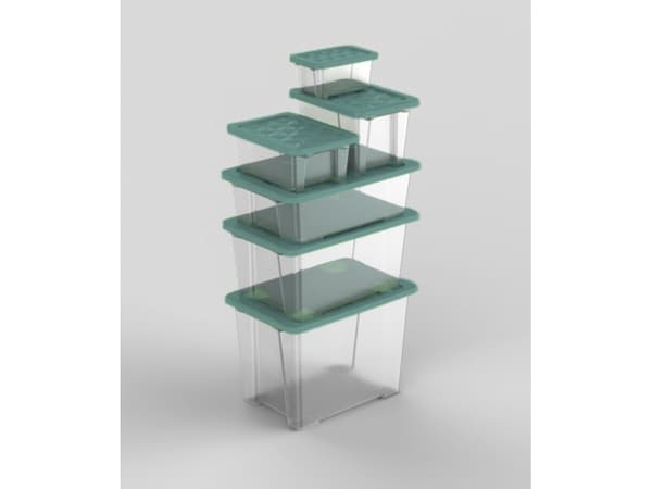 Rotho 1007905092, Förvaringslåda, Grön, Transparent, Rektangulär, Monokromatiskt, Grön, 283 mm
