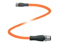 Pikkukuva 1 / 3: Pepperl+Fuchs 317169 Anturi-, toimilaite-stik, 2 m Pol-tal (RJ): 4, 4 1 kpl