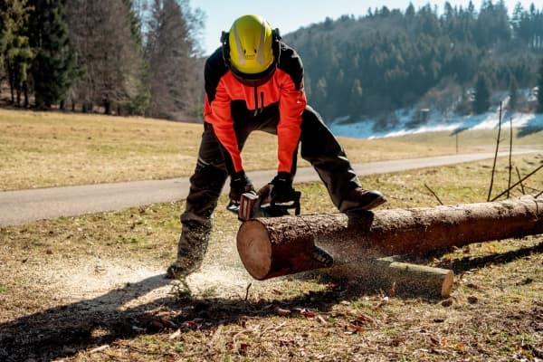 Metabo MS 36-18 LTX BL 40 - Motorsag - trådløs - 18 V - uten batteri, ingen lader - 40 cm - kuttekapasitet: 360 mm - 3.2 kg - SOLO