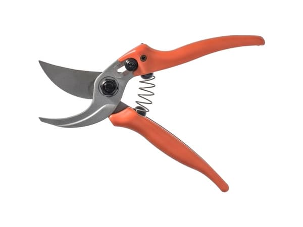 Löwe Beskærersaks clean cut 14 Bypass-skær 190mm - 1913467