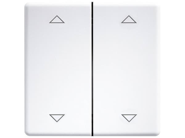 ELTAKO FT4GF/8-24VUC-wg radioknapp ren hvit blank med vippe og dobbel vippe (30000985)