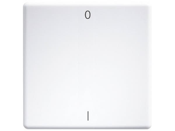 W-FT55-wg+IO Wippe lasergraviert f.55x55mm rws/glaenz (30000983)
