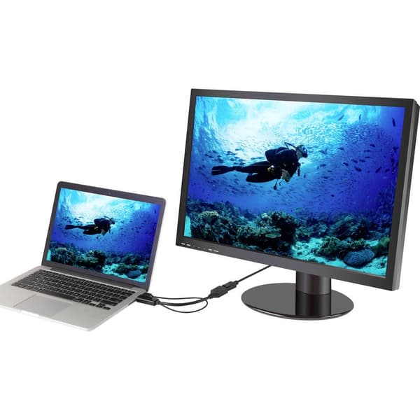 Renkforce RF-4777274 HDMI / DisplayPort Adapterkabel [1x HDMI hane, USB 2.0 A hane - 1x DisplayPort hona] Svart 4K UHD
