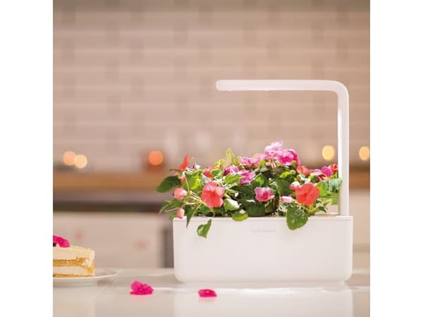 Click & Grow THE SMART GARDEN 3, LED