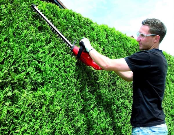 Einhell GH-EH 4245 Elektrisk hækkeklipper - 420 W - Bladlængde: 51 cm - Tandafstand: 16 mm