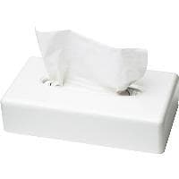 Tork 270023 paperipyyhe-annostelija valkoinen (270023)