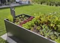 Miniatyrbild 5 av 5: Gardena Micro-Drip-System Set Höjdad bädd/Bädd (35 växter)