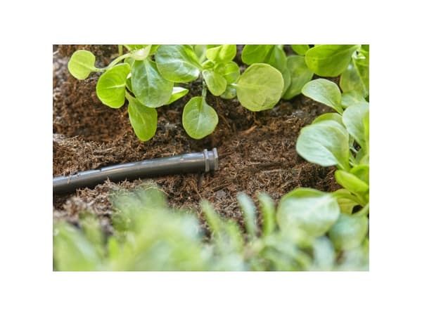 Gardena 13215-20, Putkenpään tulppa, Tiputus-keinokastelujärjestelmä, Muovi, Musta, 4.6 mm, 76,2 / 16 mm (3 / 16")