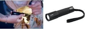 ANS 1600-0170 - LED-taskulamppu M100F 70 lm musta 1x AA Mignon (1600-0170) musta
