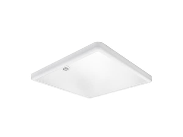 SG ARMATUREN Sense Surface 600x600 Valkoinen 3870lm 4000K Ra&gt;80 PIR-anturi 3870lm 4000K Ra&gt;80 PIR-anturi