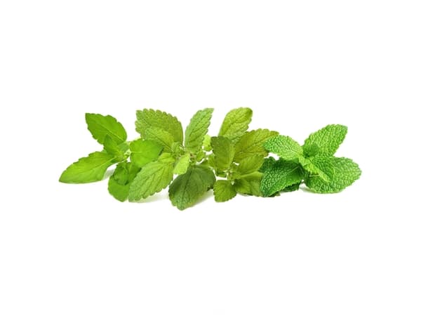 Click &amp; Grow siemenet Smart Pot - rauhoittava teesekoitus (PPMCTX9) 9kpl.