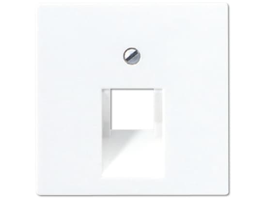 JUNG A 569-1 PLUA, Elfenben, Duroplast, JUNG, UAE 8 UPO, UAE 8 UPOK6E, UAE 8 UPOK6, UAE 8 UPOK6, WLAN-AC-UAE, WLAN-AC-POE-UAE, RJ-45, 1 stk