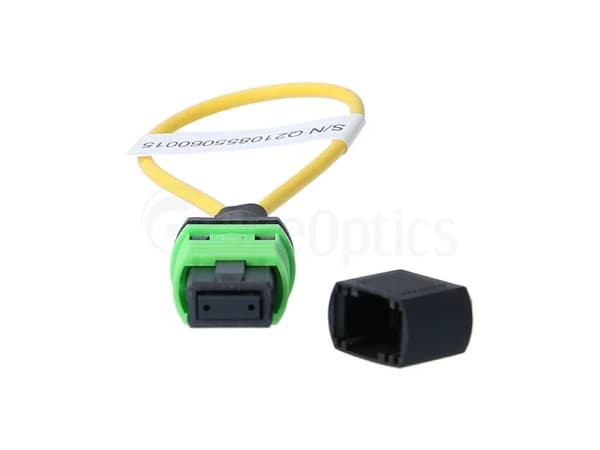 BlueOptics BOLBMPSM, MPO, Hankoppling, Grön, 1 styck