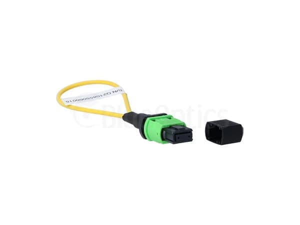BlueOptics BOLBMPSM, MPO, Hankoppling, Grön, 1 styck