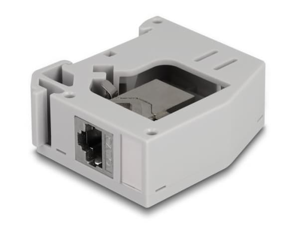 Delock - Monteringsadapter for DIN-skinne - with keystone module - CAT 6a - STP - RJ-45 - grå