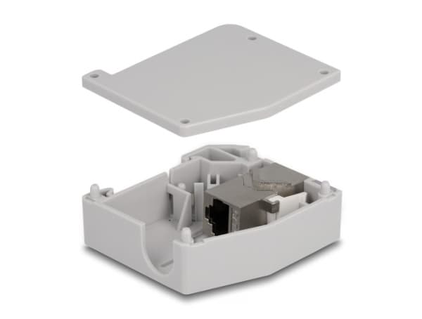 Delock - Monteringsadapter for DIN-skinne - with keystone module - CAT 6a - STP - RJ-45 - grå