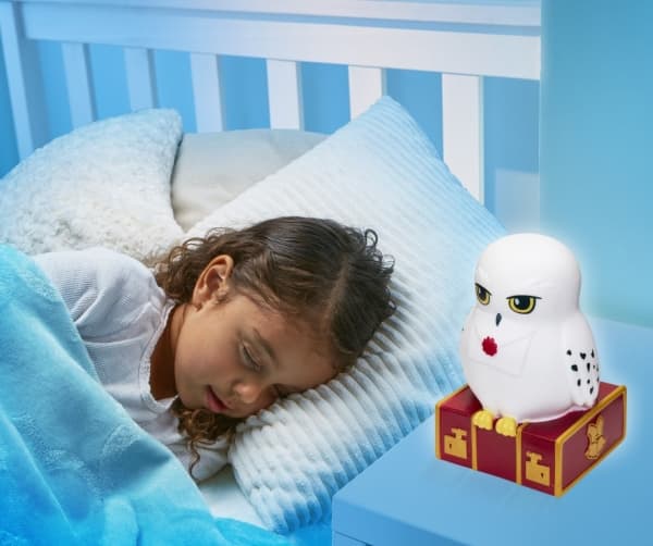 Harry Potter Hedwig yövalo ja lyhty hahmo