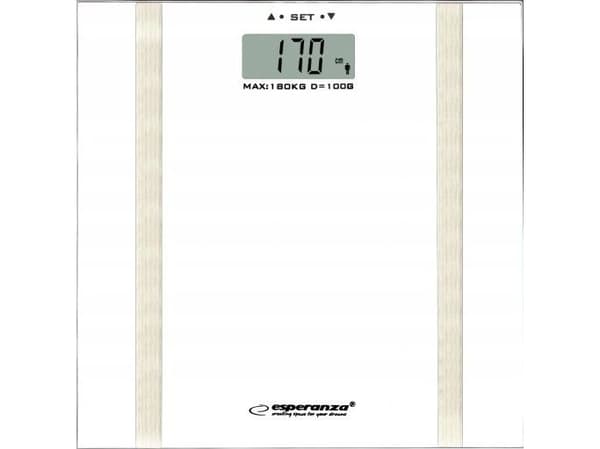 Argus Watts Thermometer