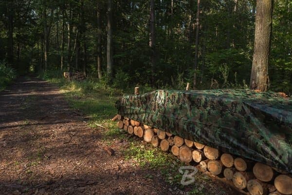Presenning Bradas CAMOforest kamuflasjepresenning 3 x 5m 90 g.