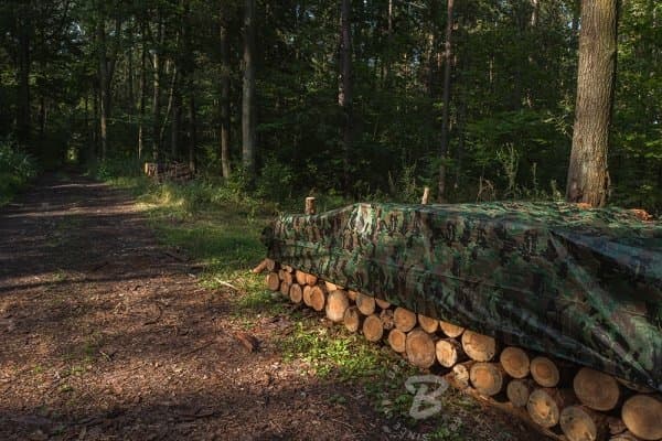 Tarpaulin Bradas CAMOforest camouflage presenning 10 x 12m 90g.