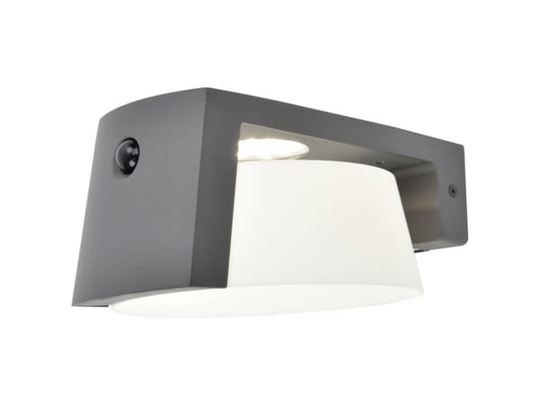 Lutec MOON 6906001118 Solcelle-udendørs vægbelysning med bevægelsessensor LED (RGB) LED 9.50 W Antracit