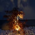 Miniatyrbild 4 av 8: Lightson Luminus trädgårdsspot Svart