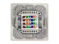 Pikkukuva 2 / 5: LogiLink Cat.6A verkkopistorasia UP2x RJ45 suojattu, puhtaan valkoinen